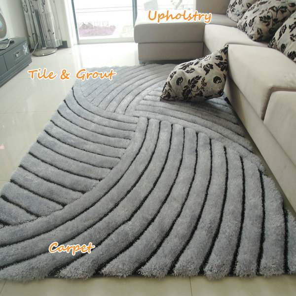 Carpet cleaning technician at work in Tampa home